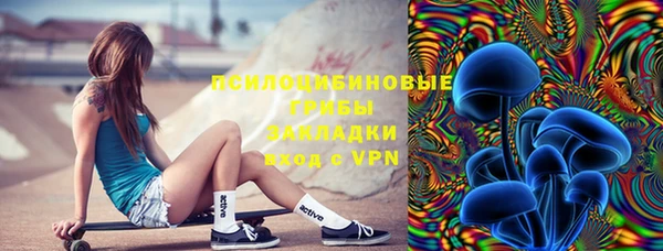 дживик Арсеньев
