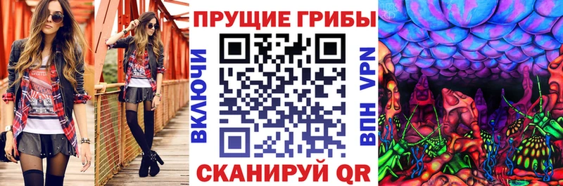 Псилоцибиновые грибы ЛСД  hydra сайт  Петушки  купить  